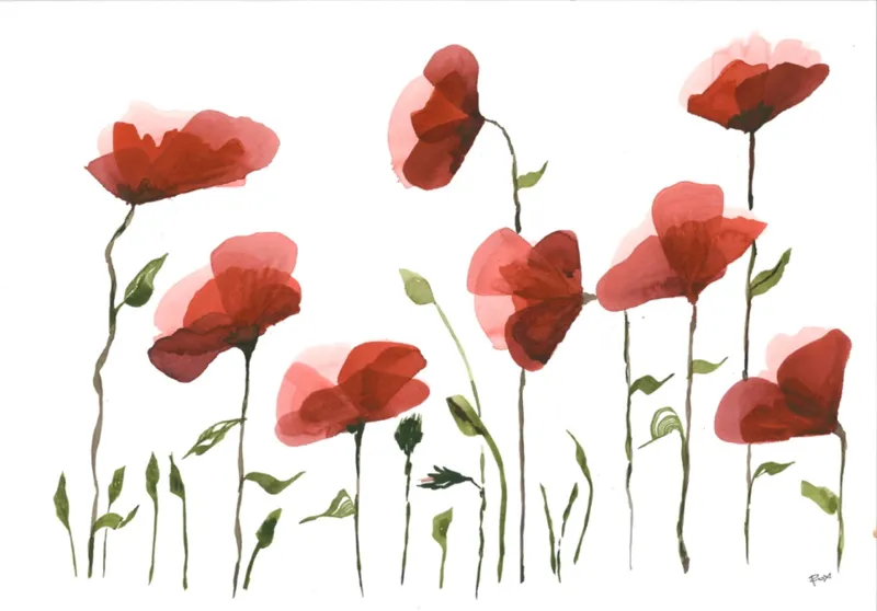 Coquelicots — Aquarelle originale, format A3. Œuvre de Roxana Rodriguez.