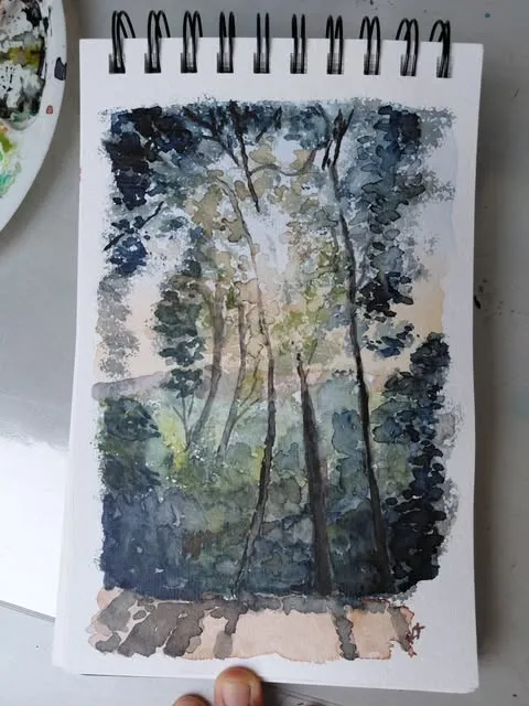 Grands arbres d'un sous-bois peints à l'aquarelle dans un carnet à spirale.