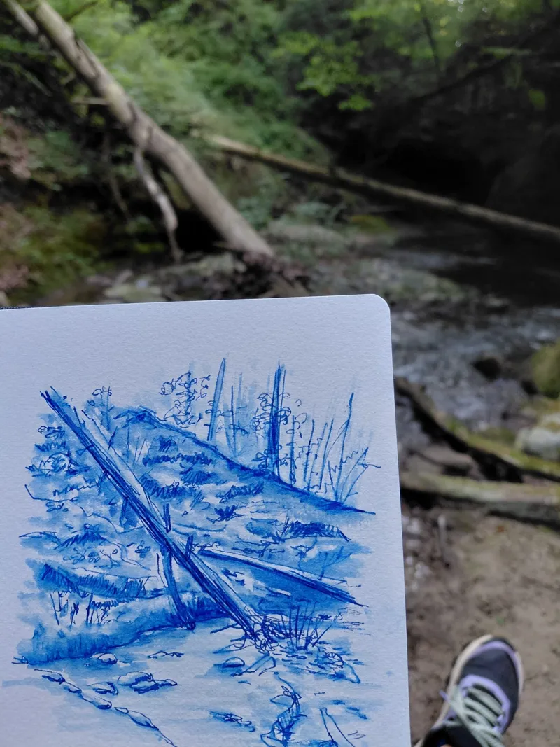 Carnet tenu devant un ruisseau en forêt : le même lieu dessiné à l'encre bleue.